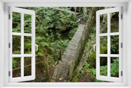 Fototapeta Naklejka Na Ścianę Okno 3D - trail in the forest, wooden path for hikers in the Portneuf regional Park, Marmittes area, near Saint Alban, Quebec, Canada. Sentier Parc Naturel régional de Portneuf
