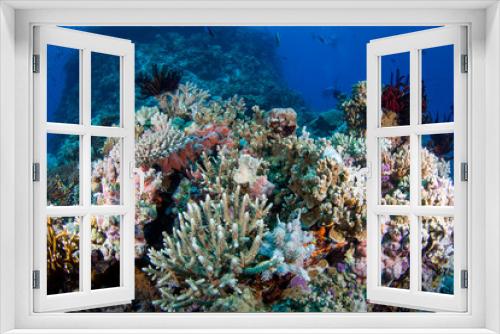 Fototapeta Naklejka Na Ścianę Okno 3D - Healthy colorful corals and fish on the reef