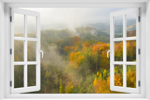 Fototapeta Naklejka Na Ścianę Okno 3D - Panoramic view on the orange and green forest in fog weather in autumn or fall