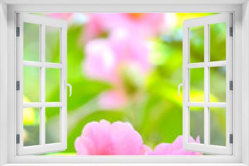 Fototapeta Naklejka Na Ścianę Okno 3D - 侘助の花