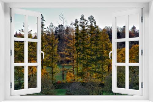 Fototapeta Naklejka Na Ścianę Okno 3D - 早朝の末の木立。自然豊かな郊外の秋の朝。
