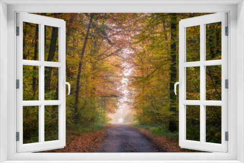 Fototapeta Naklejka Na Ścianę Okno 3D - road in a beautiful colorful autumn forest