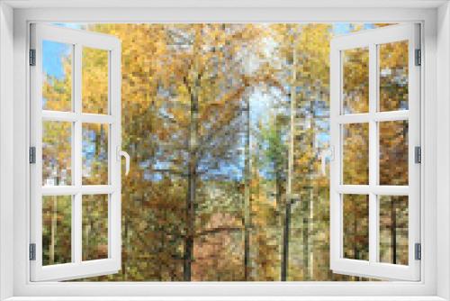 Fototapeta Naklejka Na Ścianę Okno 3D - Trees in a wood in Autumn	