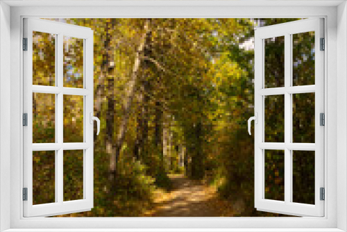 Fototapeta Naklejka Na Ścianę Okno 3D - Path in Autumn Forest