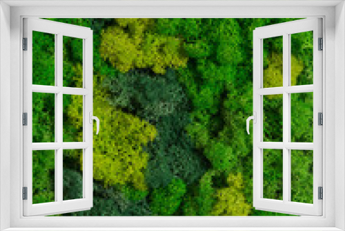 Fototapeta Naklejka Na Ścianę Okno 3D - Wall in the room decorated with stabilized moss. Moss and lichens for decoration of the interior. Eco design concept