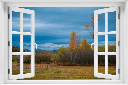 Fototapeta Naklejka Na Ścianę Okno 3D - autumn landscape with trees and clouds