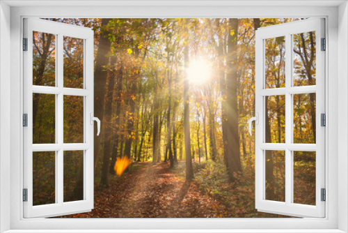 Fototapeta Naklejka Na Ścianę Okno 3D - Herbstsonne