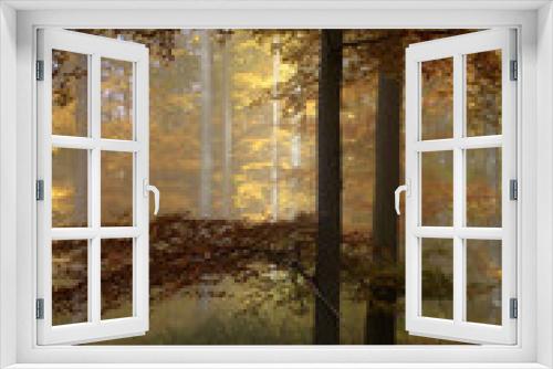 Fototapeta Naklejka Na Ścianę Okno 3D - Herbst, buntes Laub, Nebel, Thüringer Rhön, Deutschland, Europa  --
Autumn, Colorful Foliage, Fog, Thuringian Rhoen, Germany, Europe
