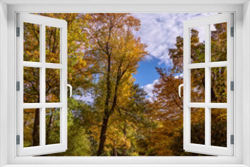 Fototapeta Naklejka Na Ścianę Okno 3D - Herbstlich gefärbte Parkbäume im Oktober