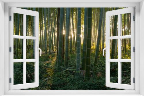 Fototapeta Naklejka Na Ścianę Okno 3D - morning in the bamboo forest