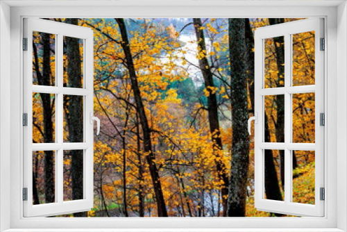 Fototapeta Naklejka Na Ścianę Okno 3D - Autumn in the park