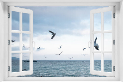 Fototapeta Naklejka Na Ścianę Okno 3D - Ivory gulls fly over the sea coast