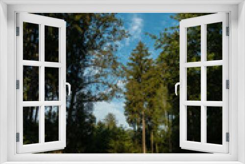 Fototapeta Naklejka Na Ścianę Okno 3D - Landschaft im Herbst