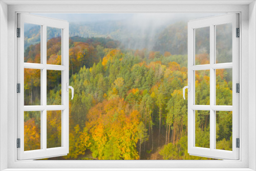 Fototapeta Naklejka Na Ścianę Okno 3D - Aerial view on the colorful autumn or fall fir or foliage forest covered by clouds