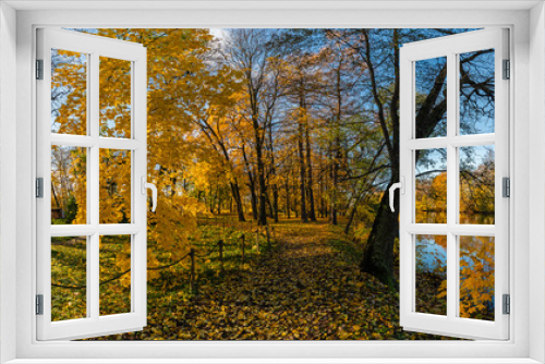 Fototapeta Naklejka Na Ścianę Okno 3D - Autumn trail for walking in the Park near the pond.