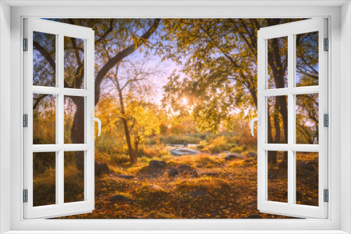 Fototapeta Naklejka Na Ścianę Okno 3D - Majestic autumn forest