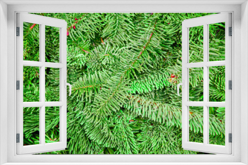 Fototapeta Naklejka Na Ścianę Okno 3D - Natural green spruce branches for the New Year and christmas background.