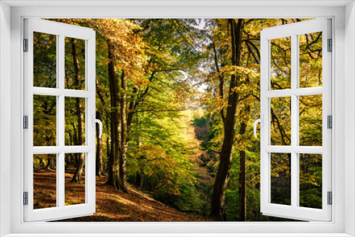 Fototapeta Naklejka Na Ścianę Okno 3D - Strikes Wood in Autumn