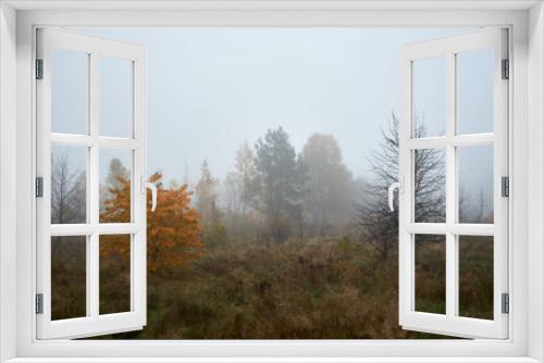 Fototapeta Naklejka Na Ścianę Okno 3D - łąka we mgle ,drzewa ,mgła ,łąka