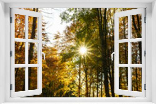 Fototapeta Naklejka Na Ścianę Okno 3D - Ein leerer Waldweg mit bunten Herbstlaub Bäumen und einem Sonnenstern. Natur, Einsamkeit.