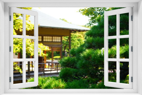 Fototapeta Naklejka Na Ścianę Okno 3D - 日本庭園の風景