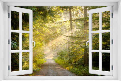 Fototapeta Naklejka Na Ścianę Okno 3D - Sonnenaufgang im Wald
