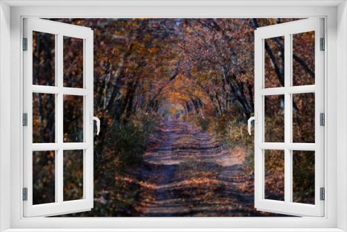Fototapeta Naklejka Na Ścianę Okno 3D - Scenic view of a old road through autumn trees