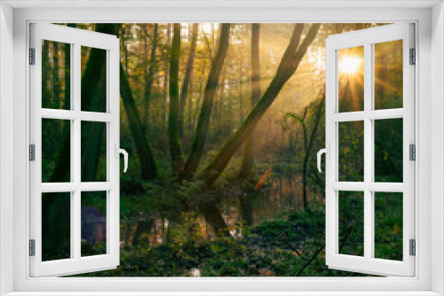 Fototapeta Naklejka Na Ścianę Okno 3D - światło w jesiennym lesie