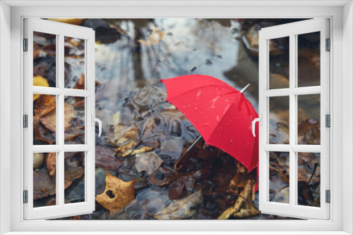 Fototapeta Naklejka Na Ścianę Okno 3D - Red umbrella in a poddle with autumn fall leaves. Autumn concept