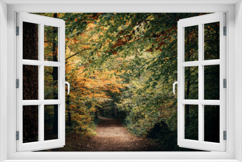 Fototapeta Naklejka Na Ścianę Okno 3D - Fall Autumn Season Picture of a small trail in a forest as the leaves begin to turn into beautiful green yellow orange and brown