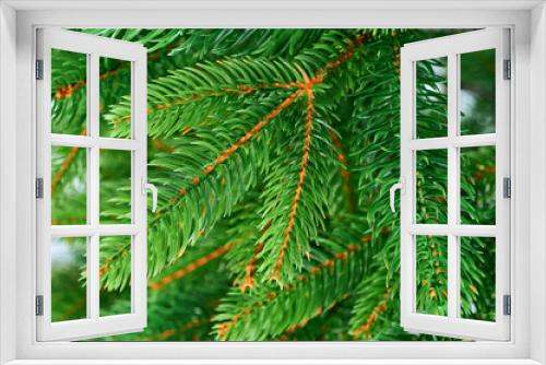 Fototapeta Naklejka Na Ścianę Okno 3D - Decorative evergreen christmas tree branch with needles closeup, new year seasonal background