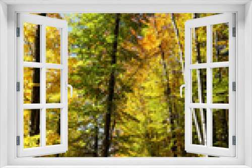 Fototapeta Naklejka Na Ścianę Okno 3D - Autumn path in the woods