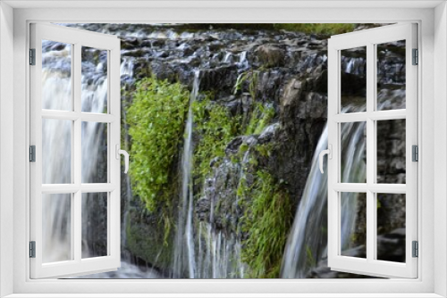 Fototapeta Naklejka Na Ścianę Okno 3D - Falls and Moss