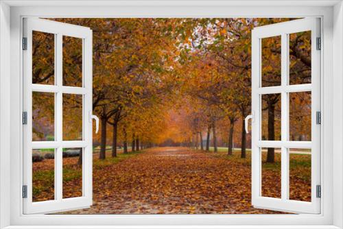 Fototapeta Naklejka Na Ścianę Okno 3D - Paesaggio in  autunno  con alberi  dai colori rossi