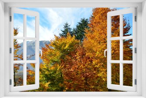 Fototapeta Naklejka Na Ścianę Okno 3D - I colori alpini dell'autunno