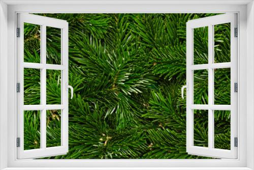 Fototapeta Naklejka Na Ścianę Okno 3D - Christmas tree background. Texture of green branches of Nordmann fir tree, close-up. Natural winter and holiday backdrop
