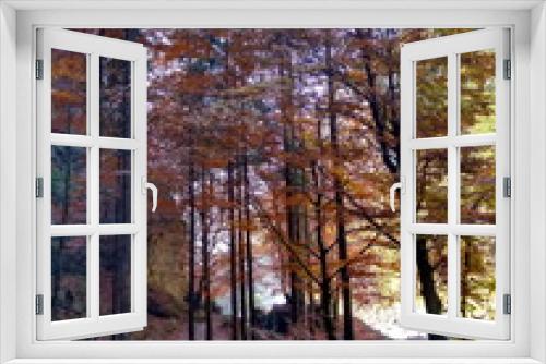 Fototapeta Naklejka Na Ścianę Okno 3D - Malerischer Herbstwald mit buntem Laub