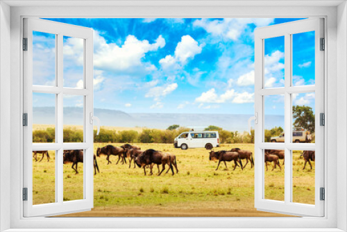 Fototapeta Naklejka Na Ścianę Okno 3D - Safari concept. Safari cars with wildebeests in african savannah during the great Migration. Masai Mara national park, Kenya. Wildlife of Africa