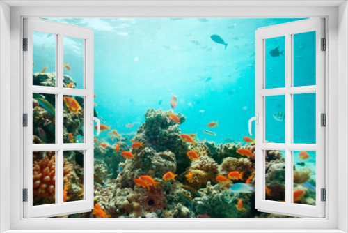 Fototapeta Naklejka Na Ścianę Okno 3D - lagoon