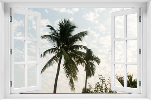 Fototapeta Naklejka Na Ścianę Okno 3D - Coconut Palm tree background photo in summer seasonal theme brightly lit by vibrant colour sunset sky. Palm tree in illuminated by sunlight. Goa Sea Beach India. Beauty in nature horizon Backgrounds.