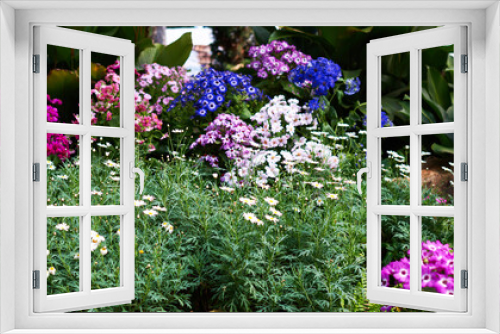 Fototapeta Naklejka Na Ścianę Okno 3D - Beautiful flower summer garden. Natural flowers in garden background. Garden flower part. Spring blooming flowers.