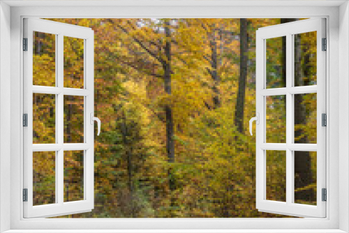 Fototapeta Naklejka Na Ścianę Okno 3D - Waldweg im Herbst