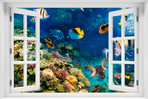 Fototapeta Naklejka Na Ścianę Okno 3D - Underwater world. Coral fishes of Red sea.