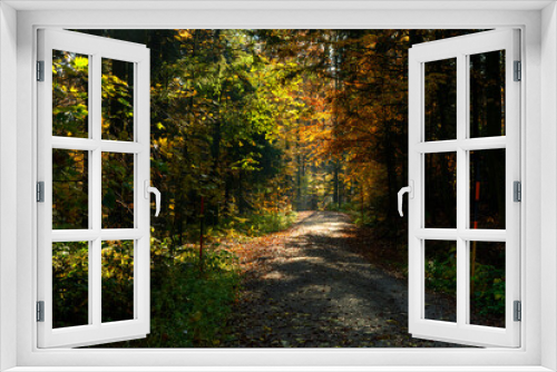 Fototapeta Naklejka Na Ścianę Okno 3D - Herbst im Bayrischen Wald