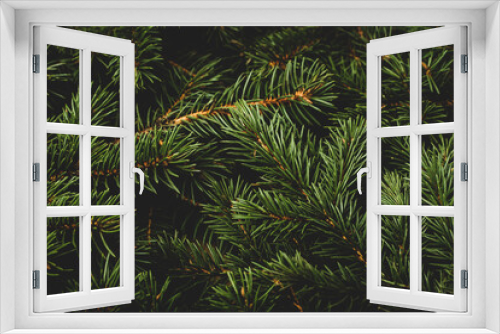 Fototapeta Naklejka Na Ścianę Okno 3D - Branches of a Christmas tree. Christmas, New Year. Wallpaper. Banner. Flat lay, top view