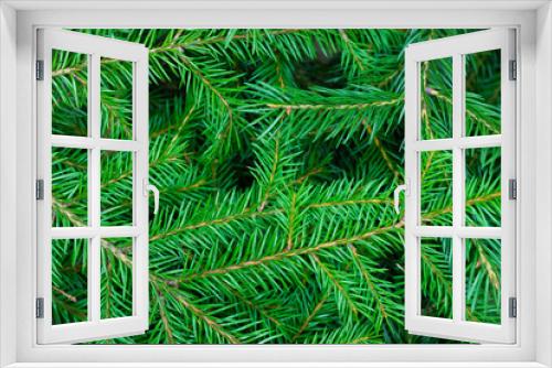 Fototapeta Naklejka Na Ścianę Okno 3D - Background from green spruce branches. Close-up of a Christmas tree