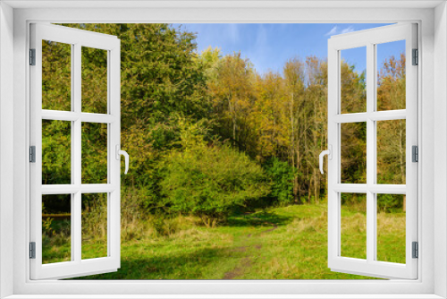 Fototapeta Naklejka Na Ścianę Okno 3D - Landscape with autumn forest in the sunny day. Yellow and green forest in the fall season.