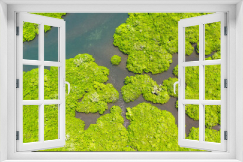 Fototapeta Naklejka Na Ścianę Okno 3D - Tropical mangrove green tree forest view from above, trees, river. Mangrove landscape, Ecosystem and healthy environment concept. Bohol,Philippines.