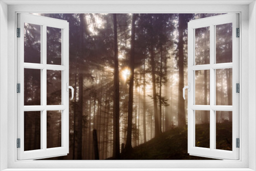 Fototapeta Naklejka Na Ścianę Okno 3D - Wald - Sonnenstrahlen - Nebel - Mystisch