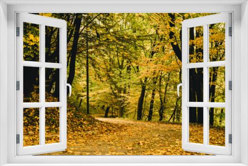 Fototapeta Naklejka Na Ścianę Okno 3D - yellow leaves on trees and forest path
